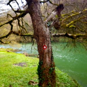 Fotografije: Marina Kelava