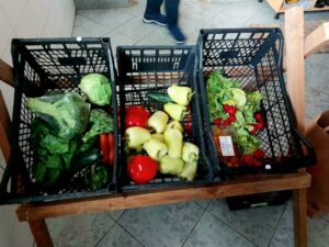 Džabac, gajbe s povrćem