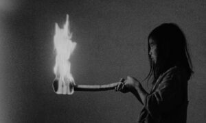 Pometnja (Mare's Nest)