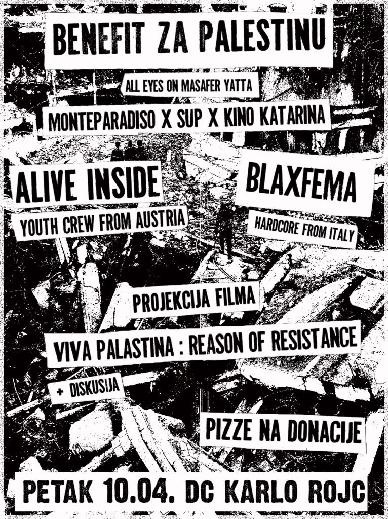 Program solidarnosti s Palestinom