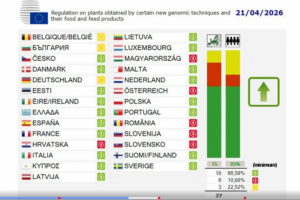Vieće Europe glasanje 