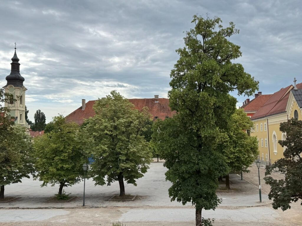 Građani Karlovca traže zaustavljanje uklanjanja drvoreda lipa na Trgu bana Josipa Jelačića