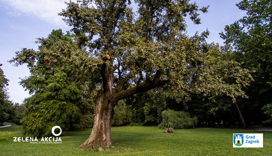 Edukativna šetnja park-šumom Maksimir