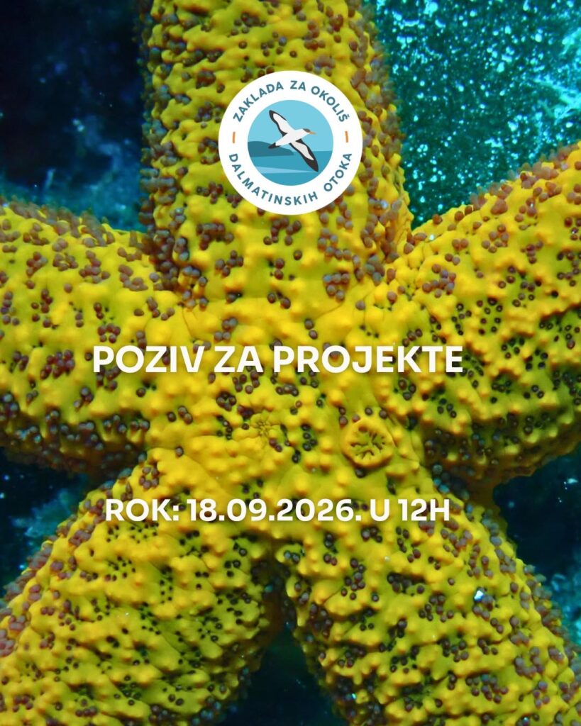 Zaklada za okoliš dalmatinskih otoka otvara novi poziv za projekte!